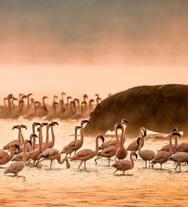 Lake Manyara National Park