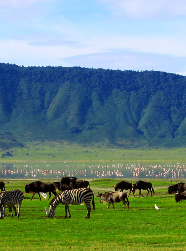 Ngorongoro Conservation Area